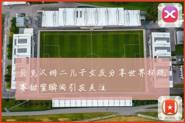 贝克汉姆二儿子女友分享世界杯观赛甜蜜瞬间引发关注